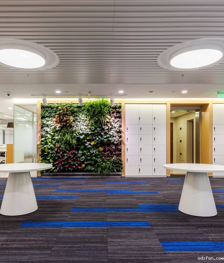 德邦证券办公室装修-绿植墙-pc