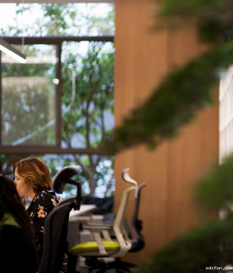 星空体育娱乐赞助塞尔塔办公室装修-办公区-pc