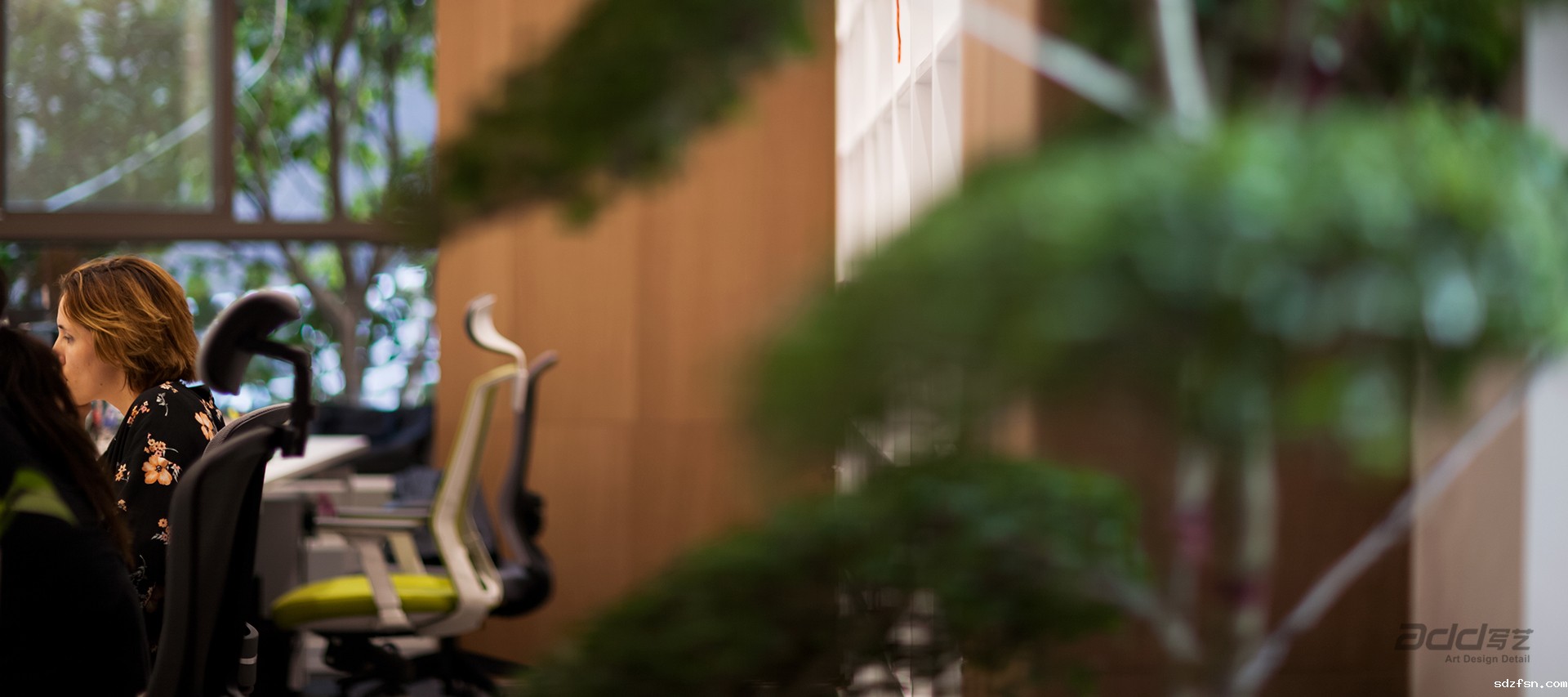 星空体育娱乐赞助塞尔塔办公室装修-办公区-pc